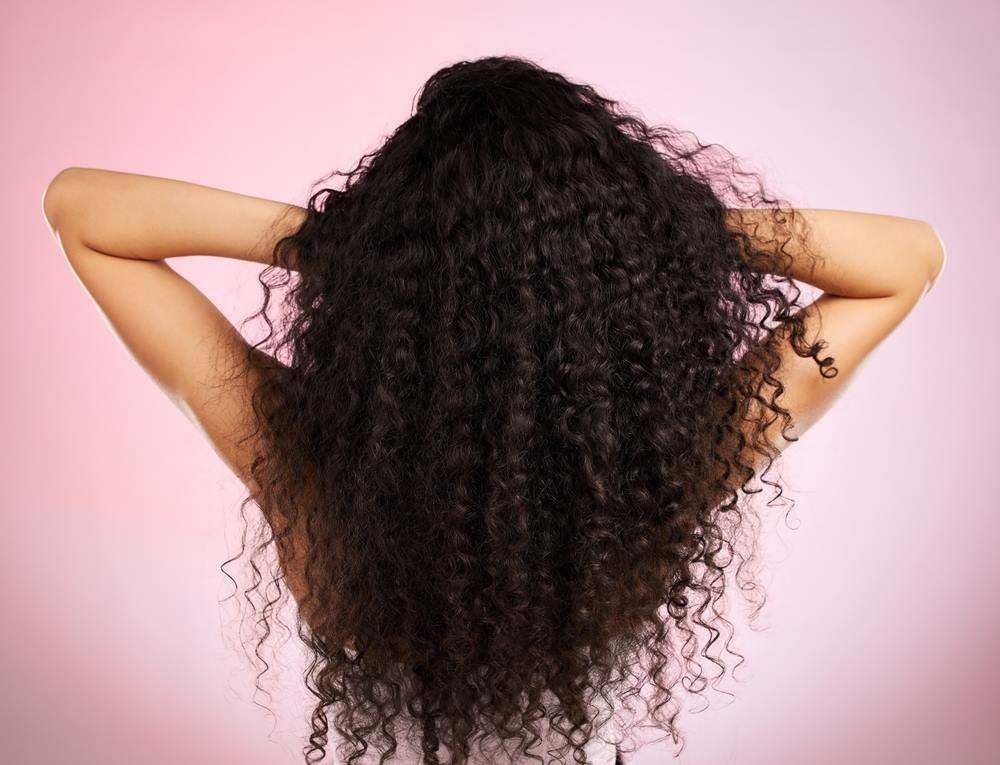 Person with Long Curly Hair Holding It up Against a Pink Background — Fraser Shores Hair Design in Urraween, QLD