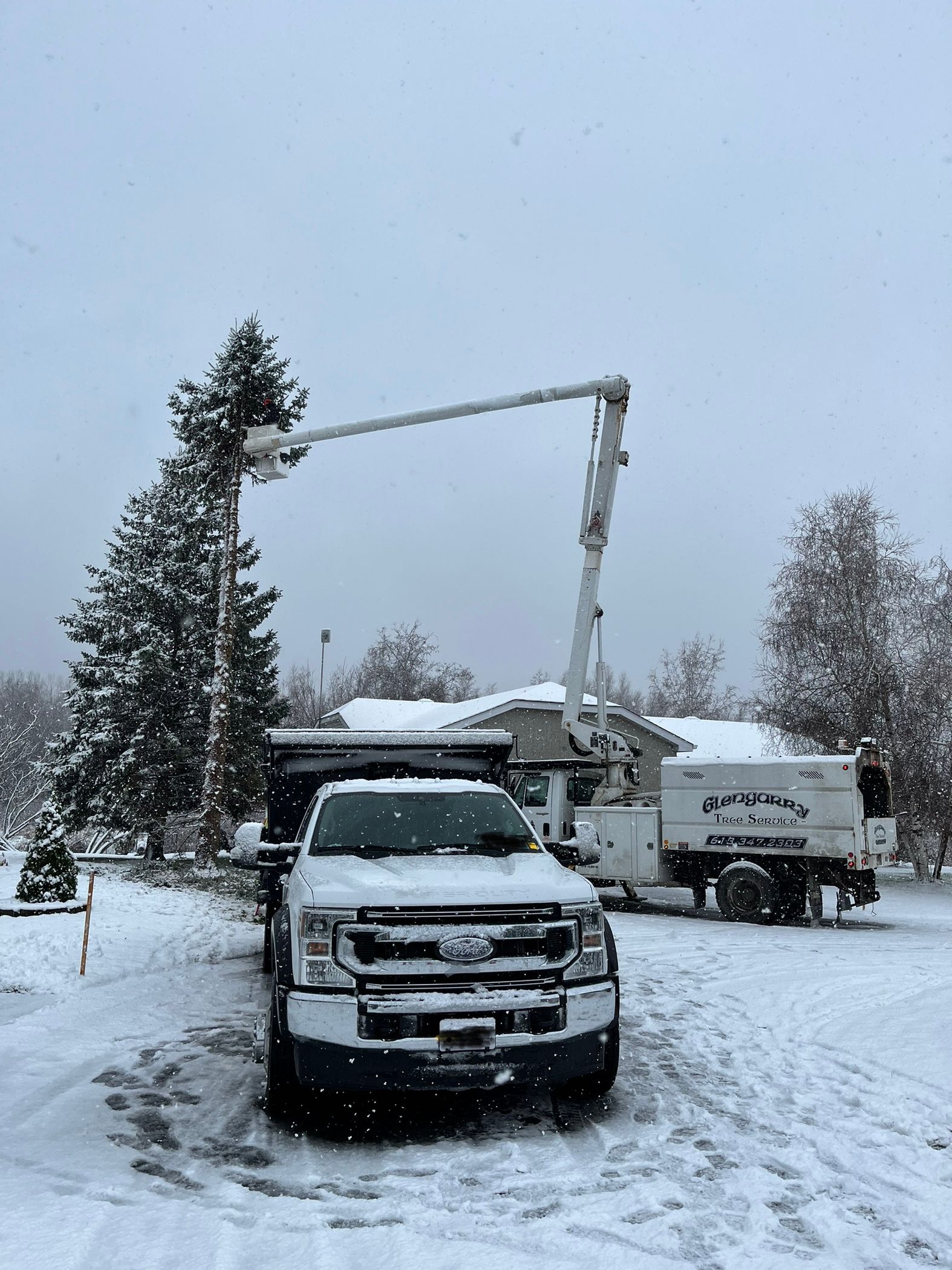 Truck with a boom trimming a snowy tree near a house. Snow covers the ground and vehicles.