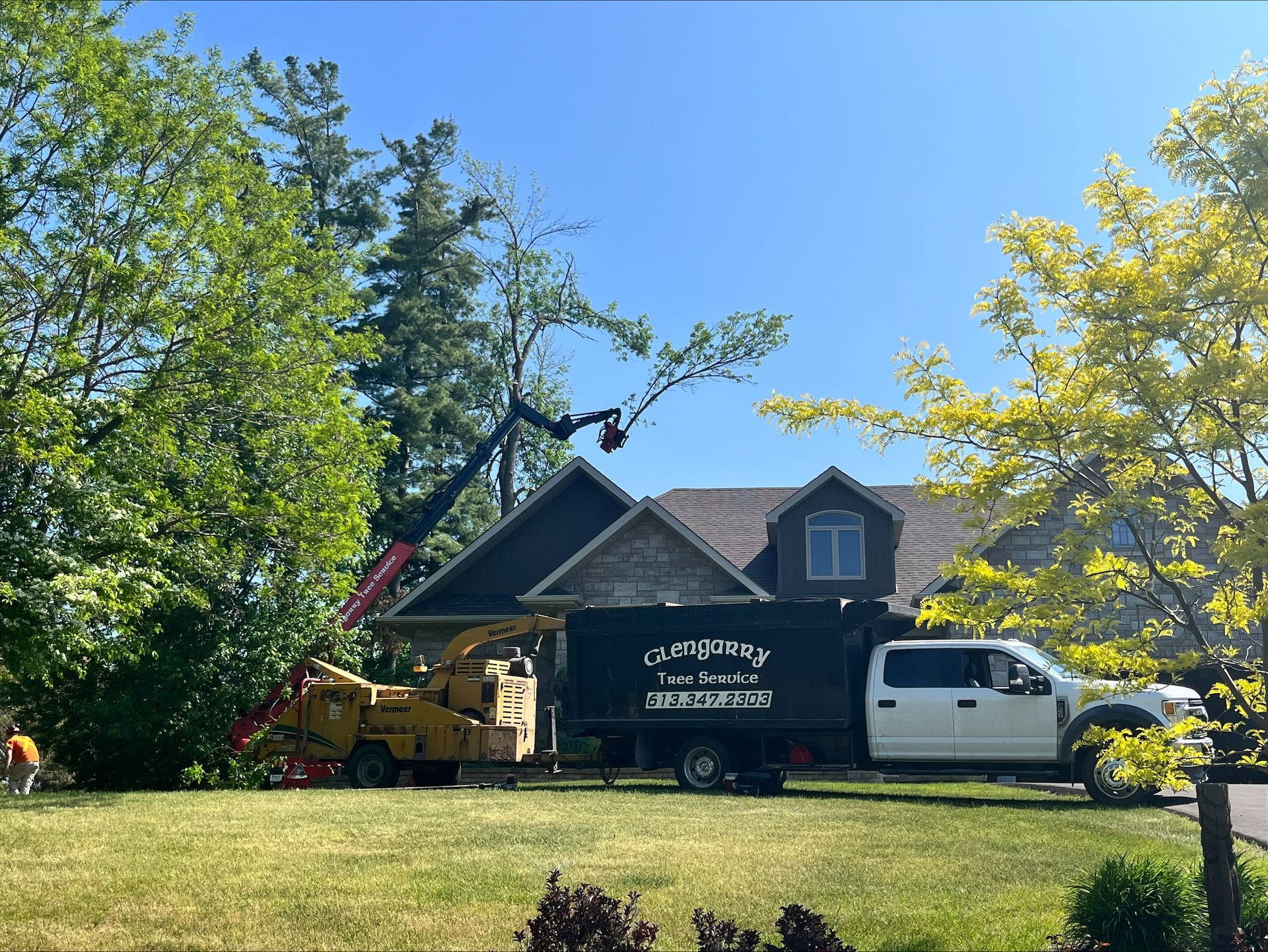 Tree removal service working on a tree near a house. A wood chipper and truck are on the lawn.