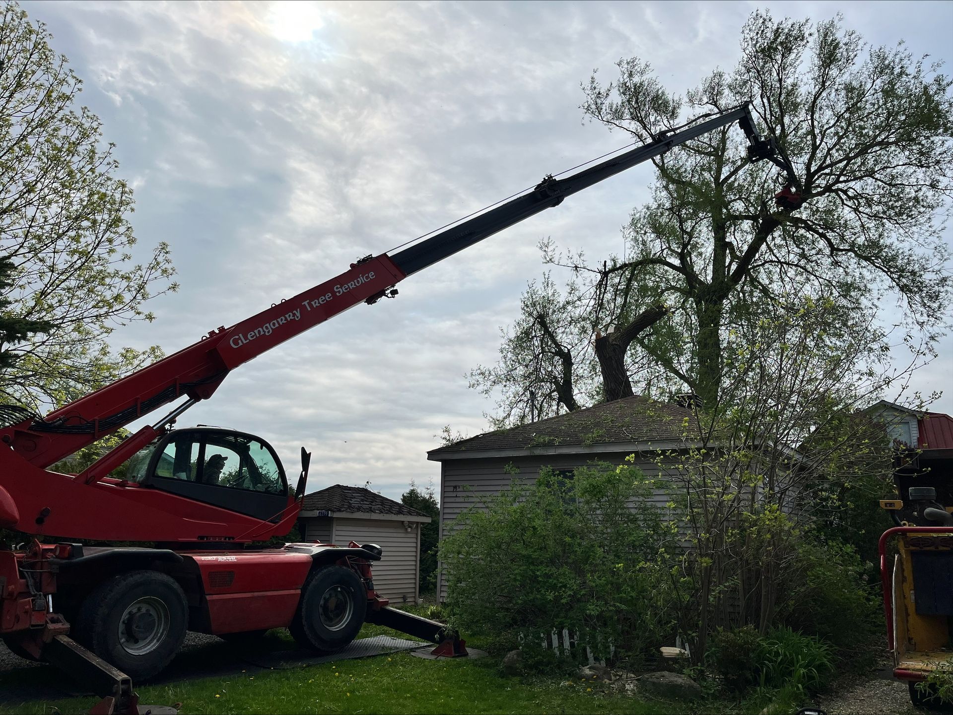 Red telescopic handler trimming a tree in a yard next to a shed.