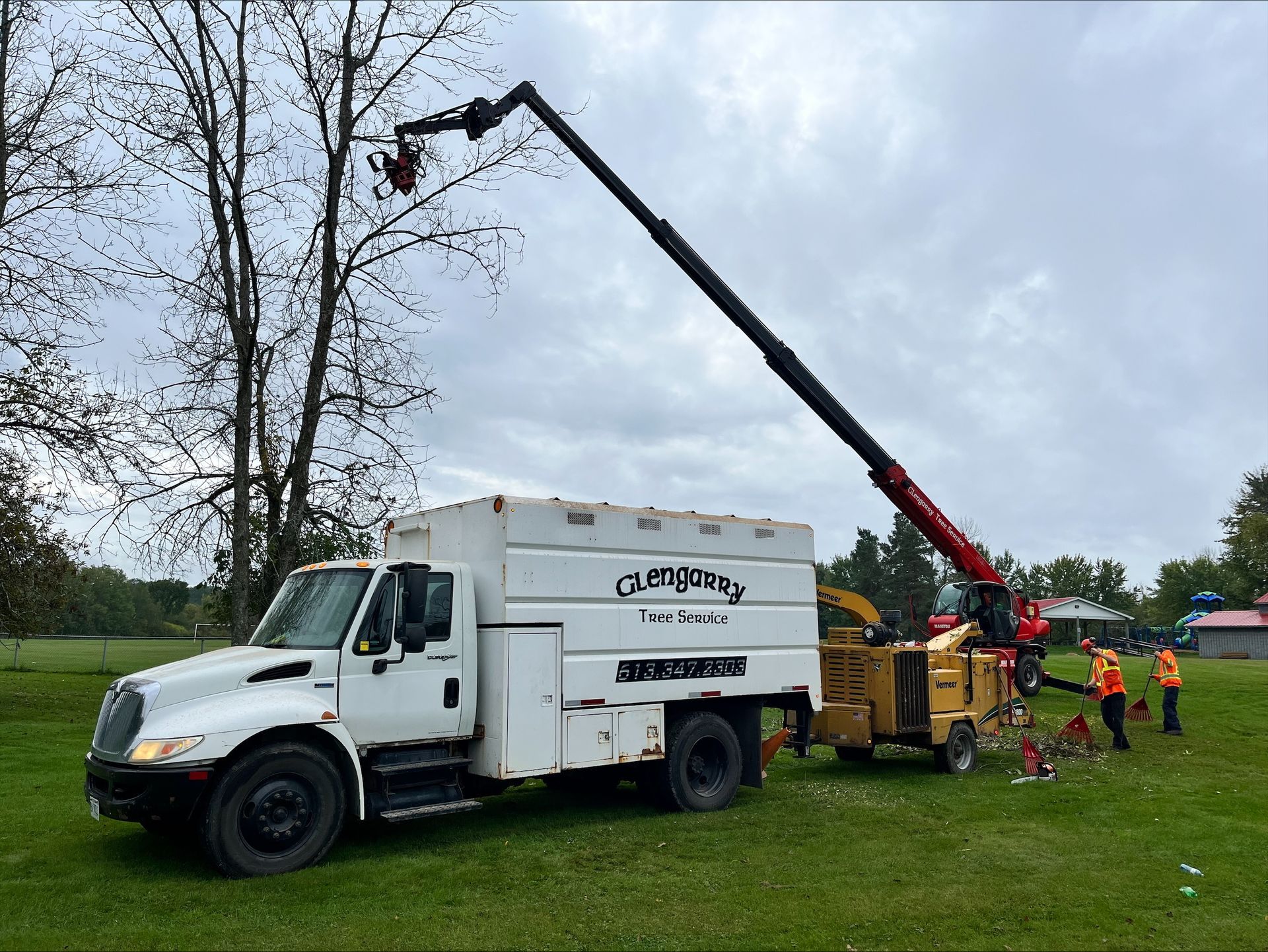 Tree service truck with extended arm over tree, crew working on ground, cloudy day.