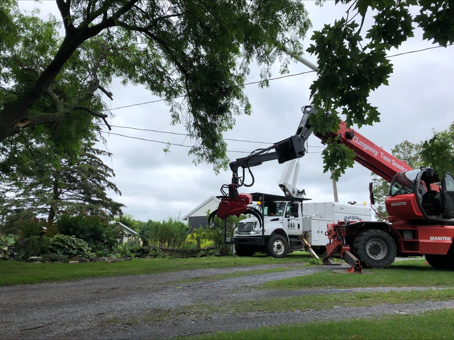 Truck with a boom cutting tree branches near power lines, in a yard; overcast sky.