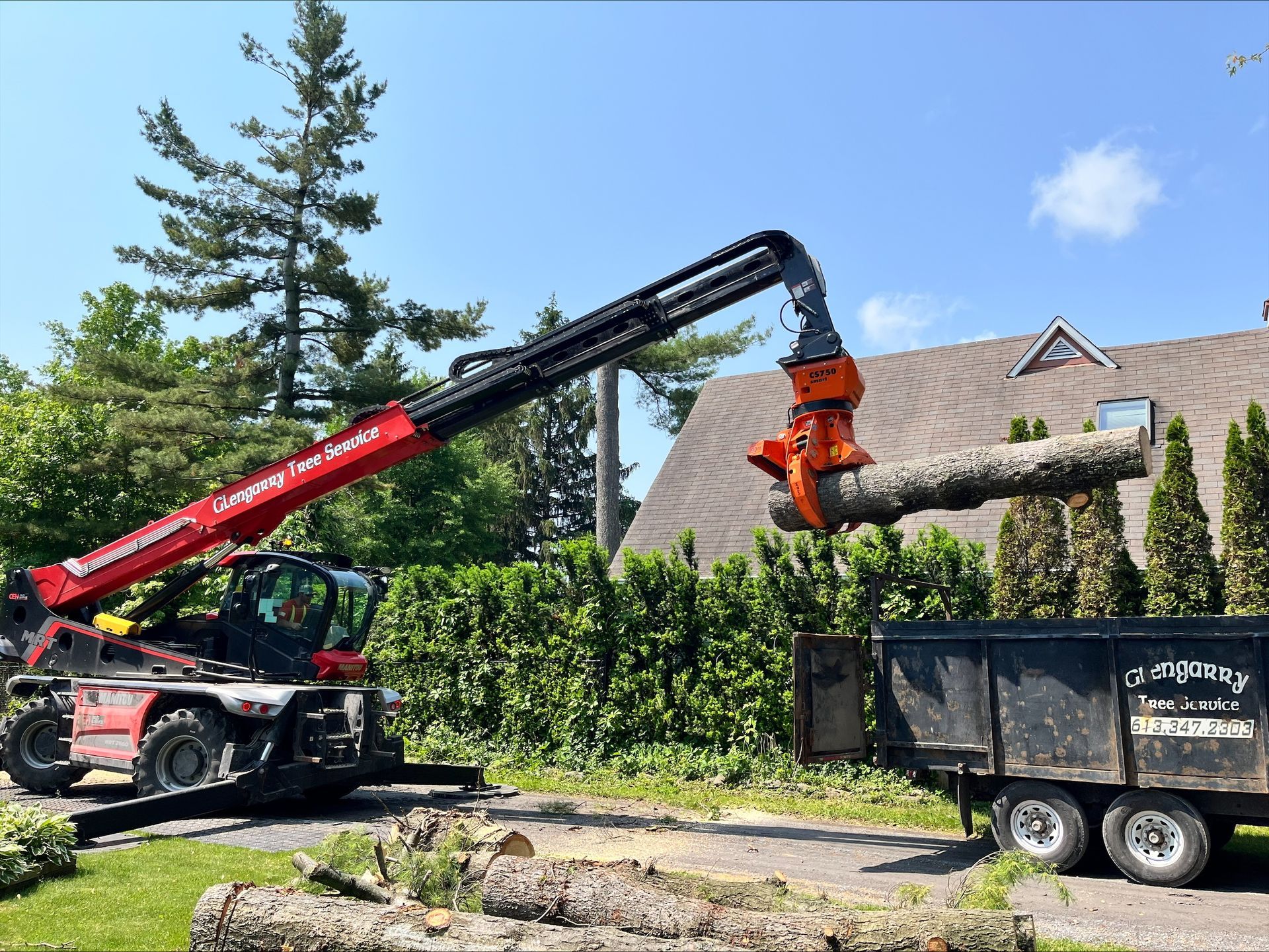 Red telehandler with grapple arm, loading a log into a black dump trailer in a yard with trees.