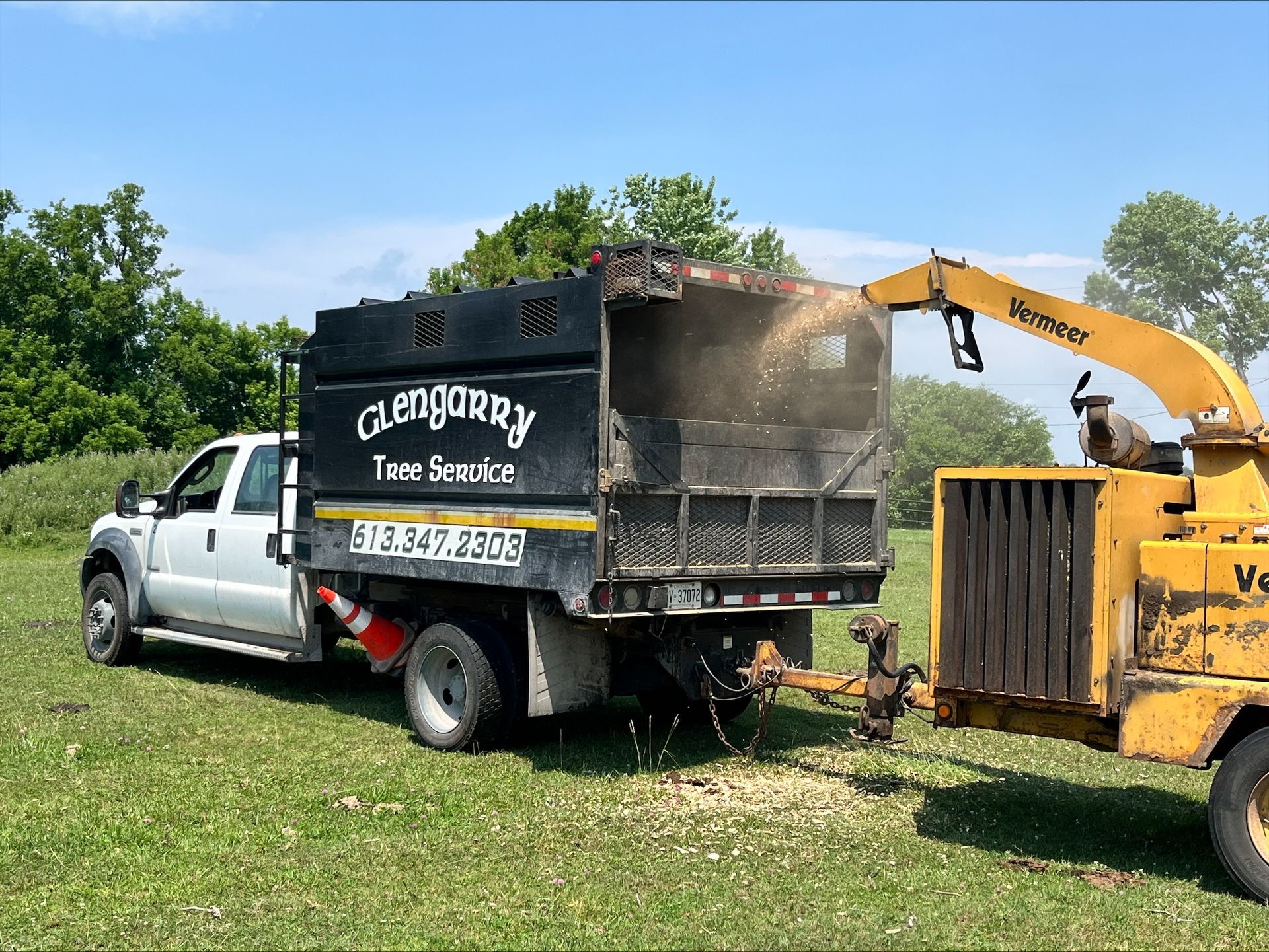 A truck with a wood chipper processing tree debris in a field on a sunny day.