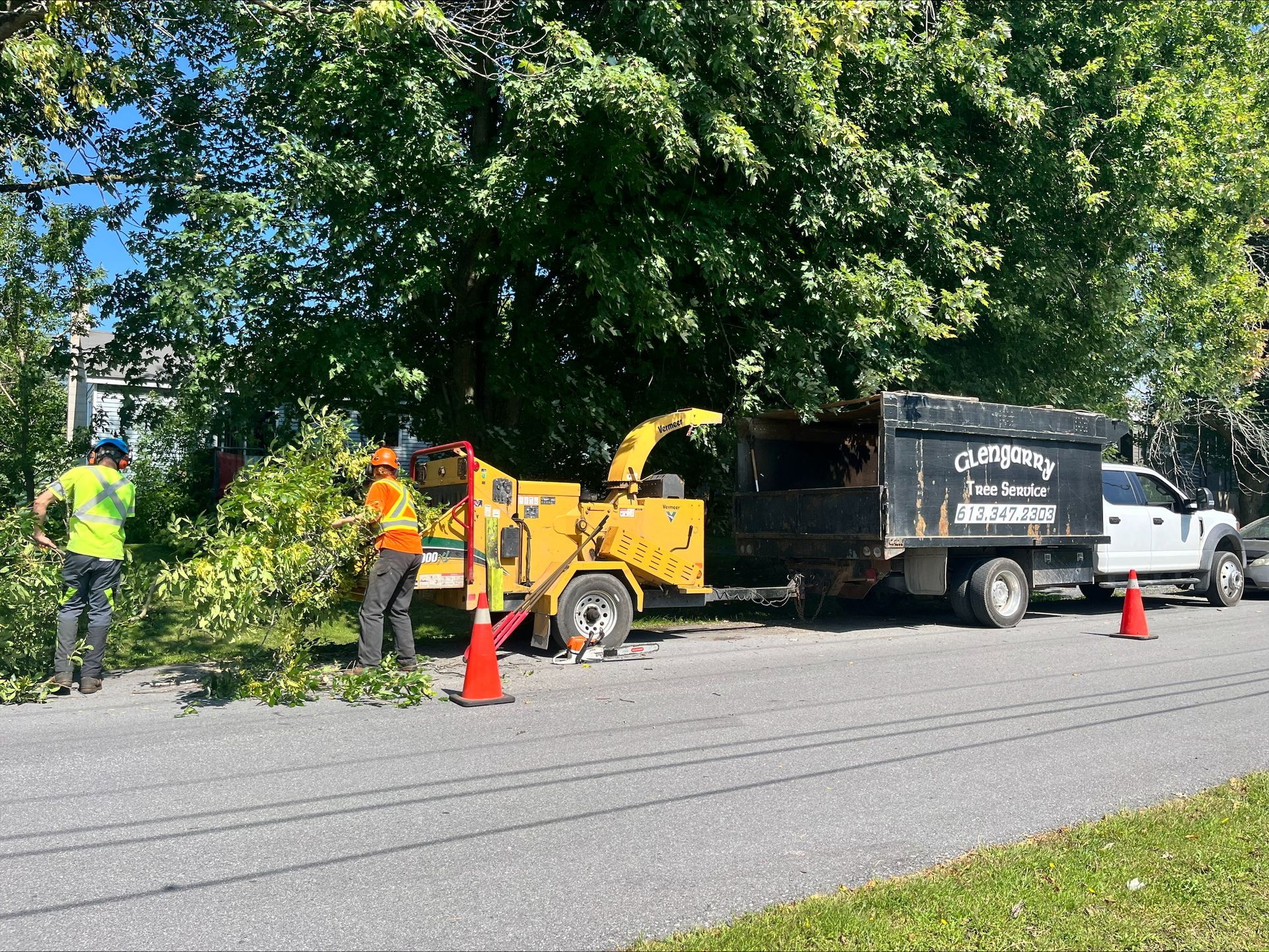Tree service crew chipping branches on a residential street. A truck and chipper are alongside.