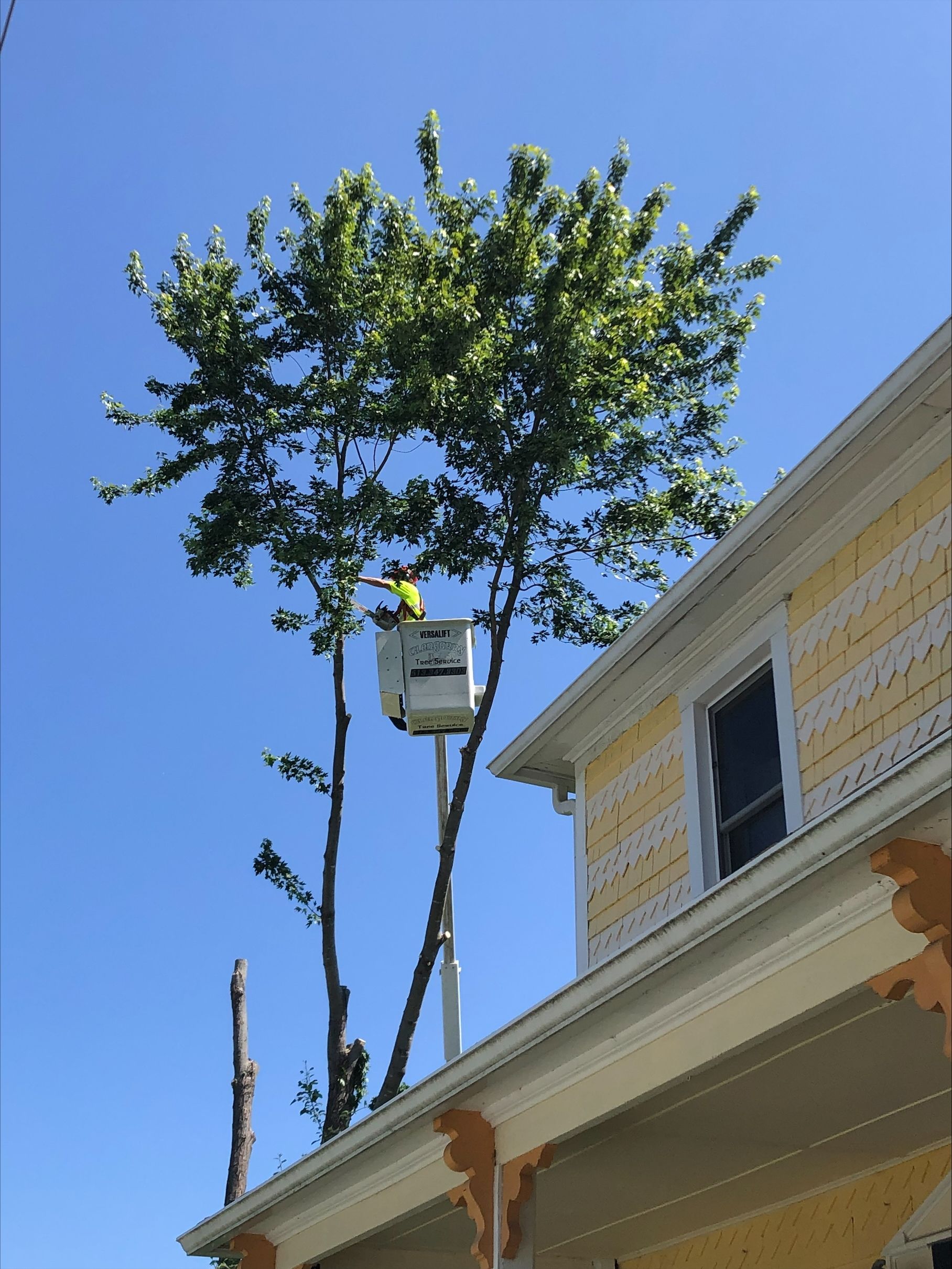 Tree trimming by a worker in a lift bucket near a yellow house against a blue sky.