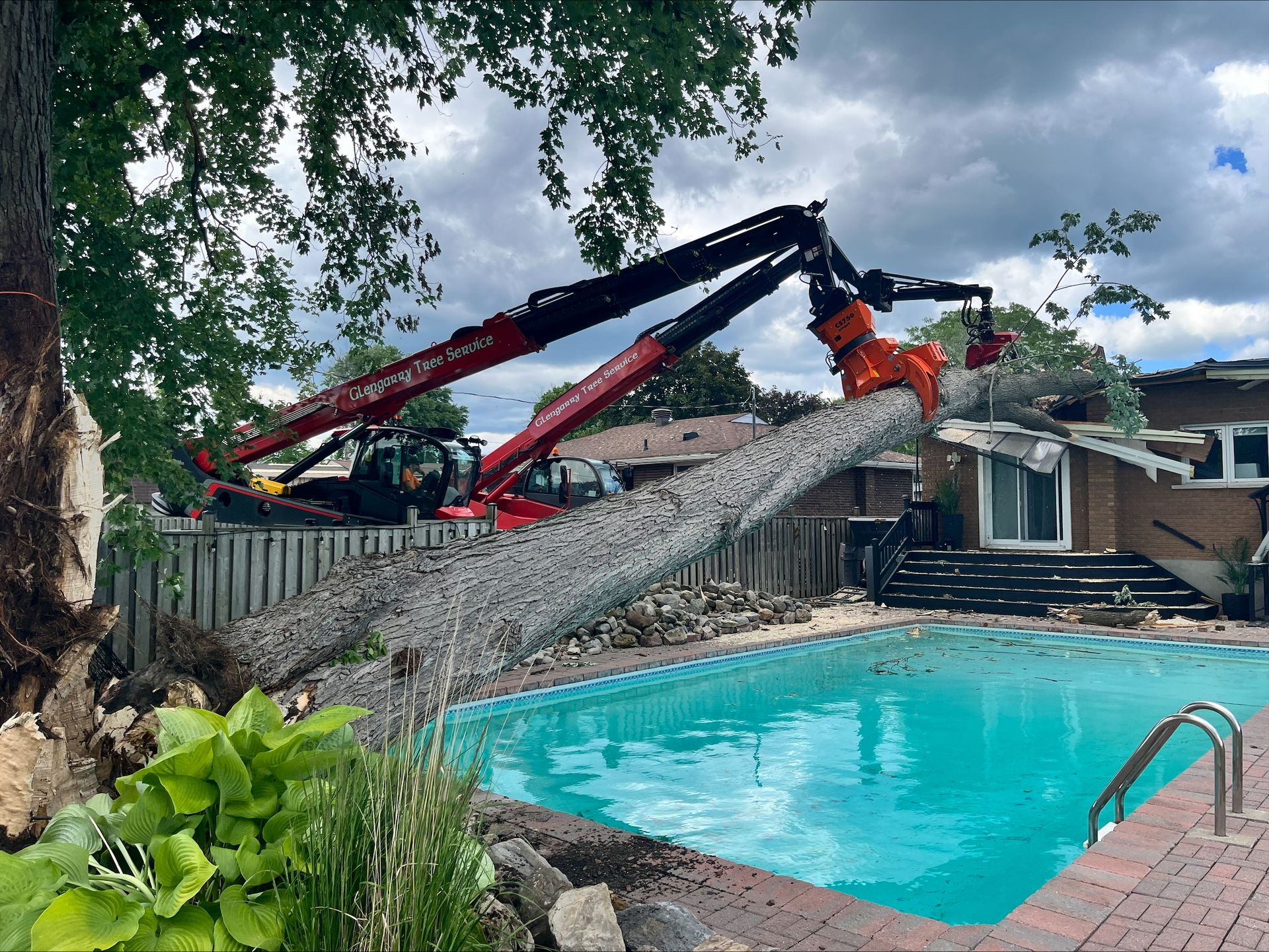 Cornwall Tree Pool Tree Services in Cornwall | Glengarry Tree Service