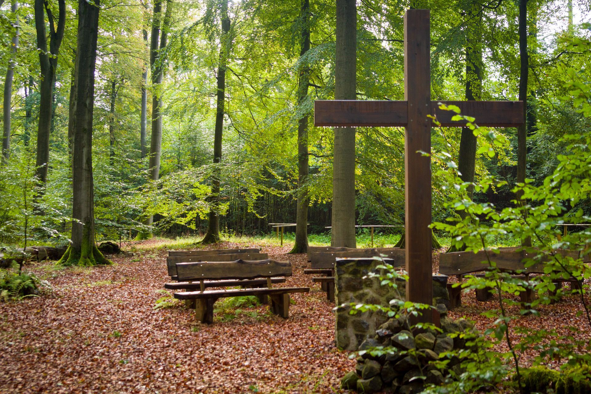 Biourne auf Baumstumpf als Symbol der Baumbestattung