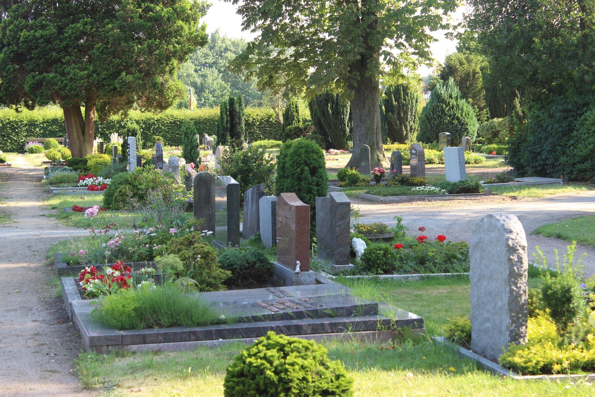 Friedhofsallee als Symbol für Grabauflösung und Räumung