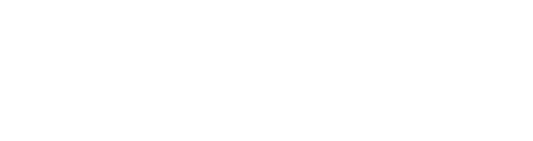 money bridge logo
