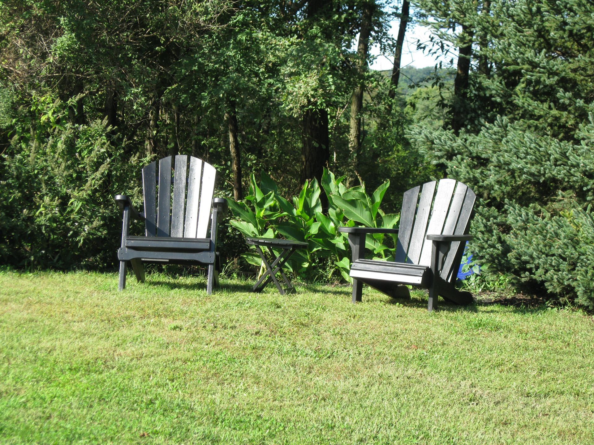 Chairs in Garden