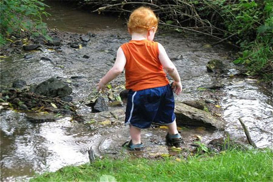 Toddler in Garden