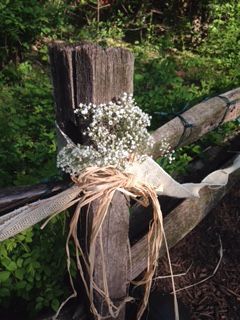 Decoration on fence