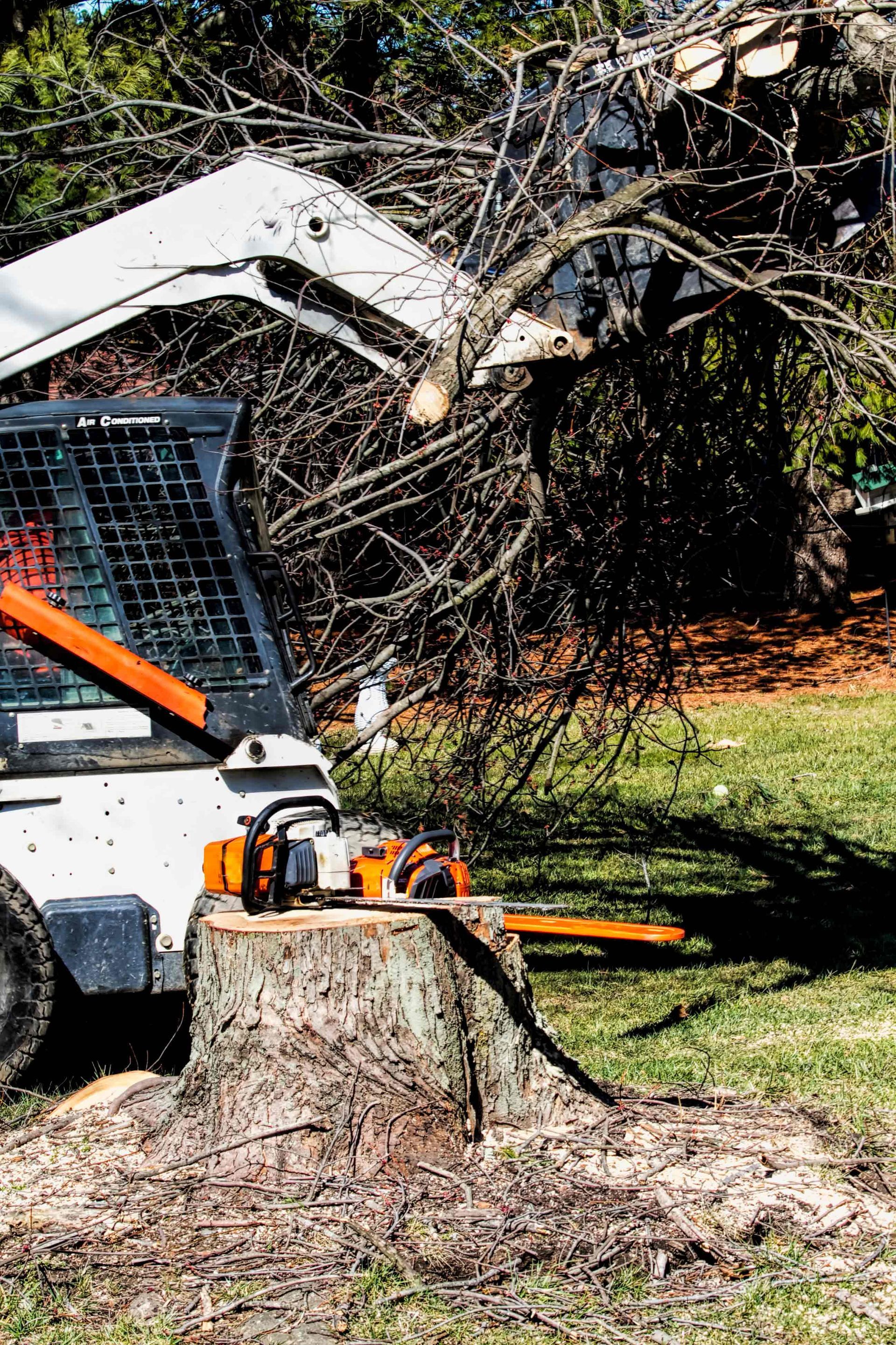 A chainsaw on a stump next to a skid-steer loader after professional tree removal work.