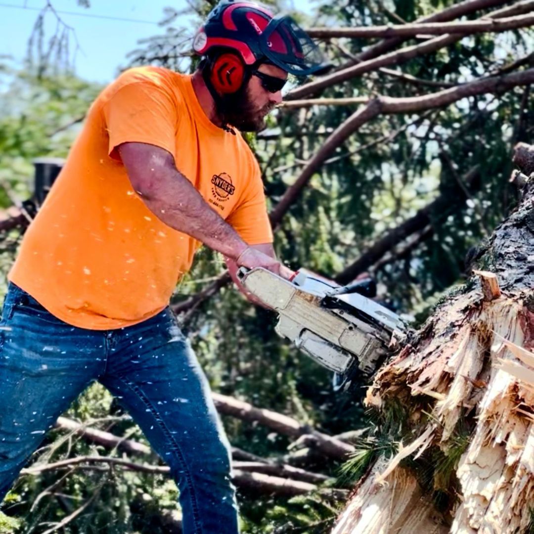 Man in orange shirt using a chainsaw on a fallen tree. Wearing safety gear; tree debris visible.