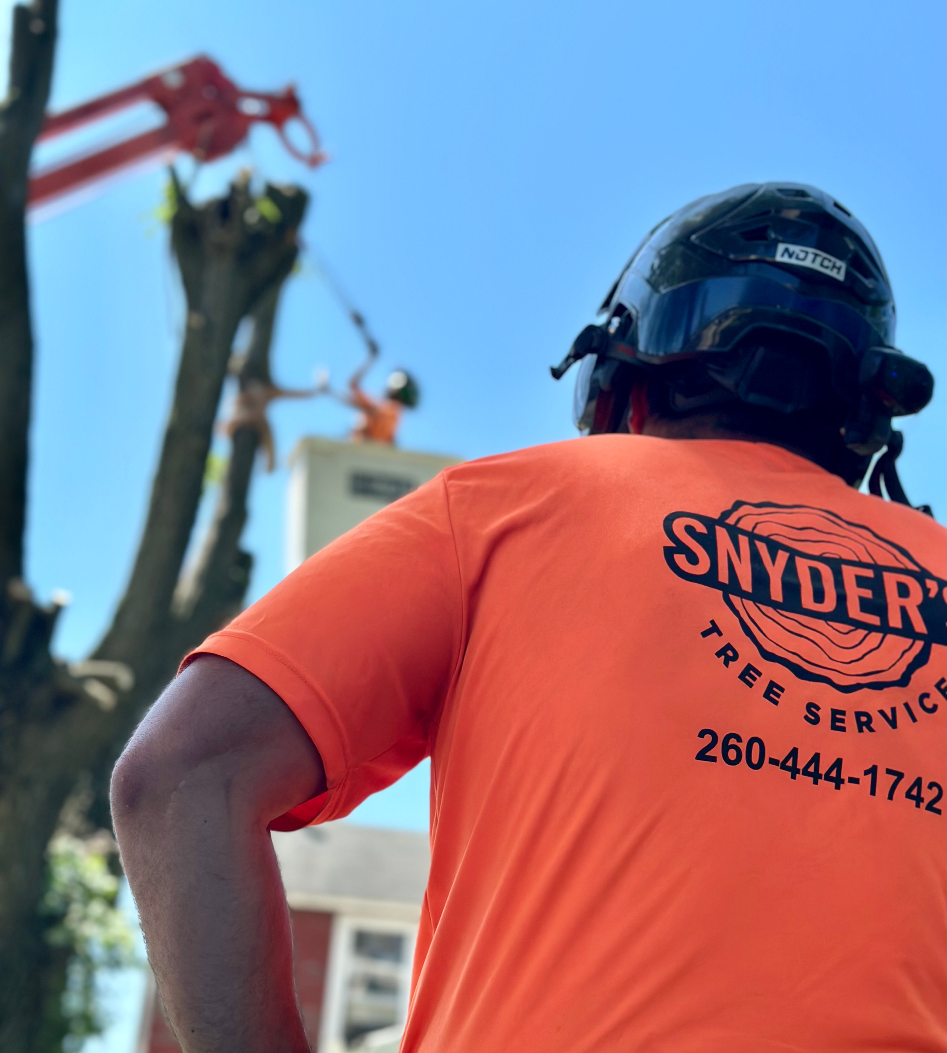 Tree service worker in orange shirt, watching other worker in lift trim a tree. Blue sky.