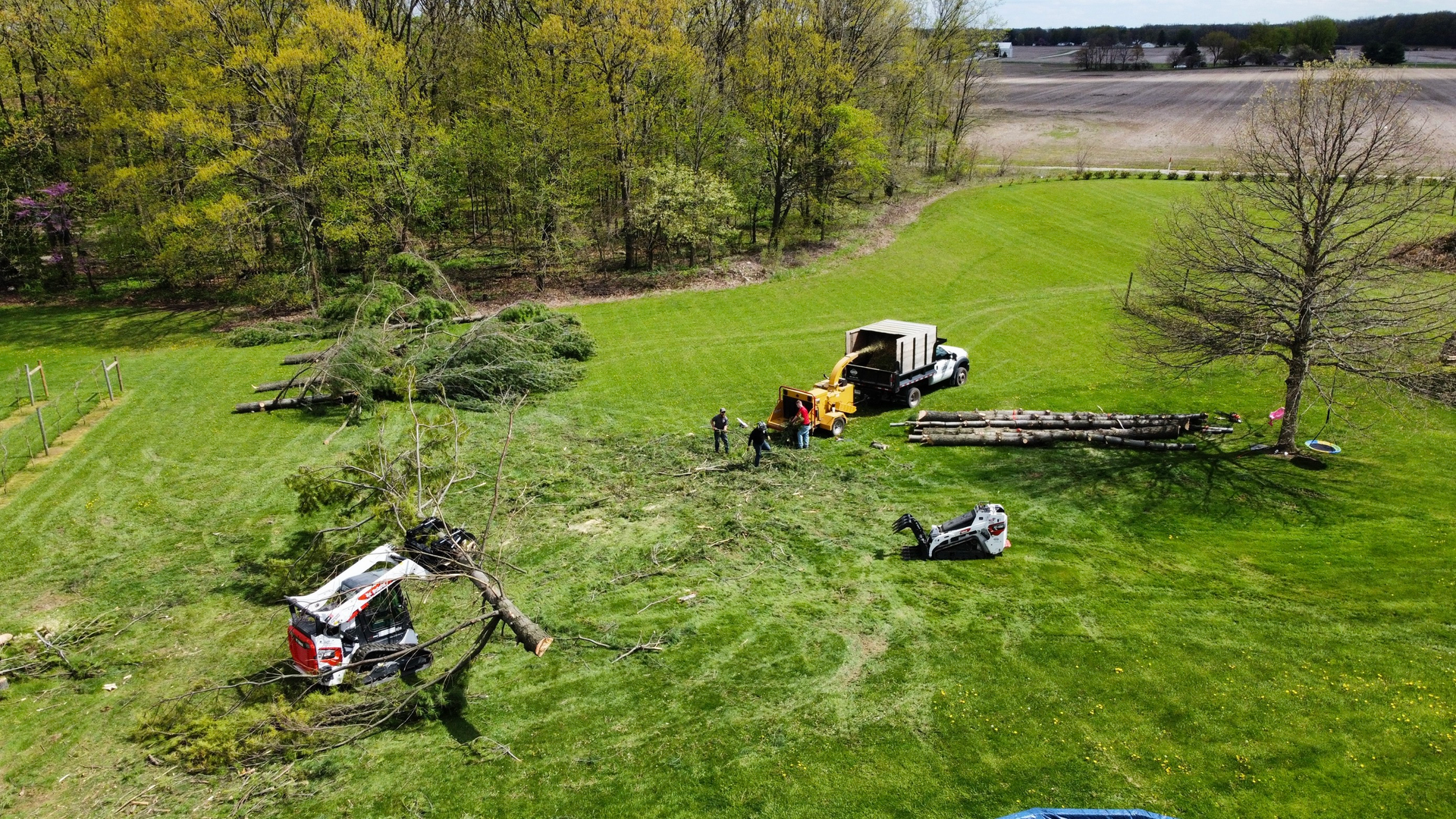 Tree removal in a grassy field with equipment: a stump grinder, truck, and cut logs.