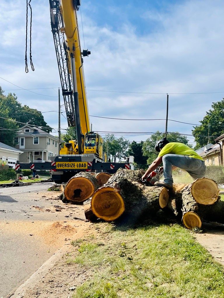 Man cutting tree logs on a street, crane in background.