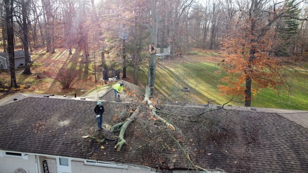 Tree removal: Workers on a roof cutting a fallen tree, with a backyard and houses in the background.