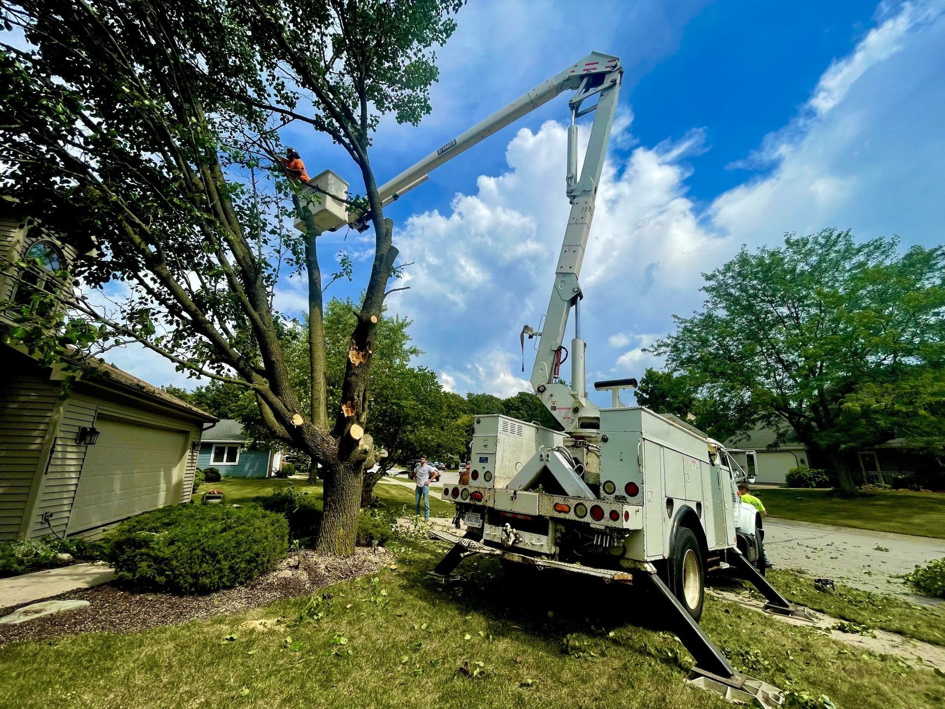 A tree being trimmed by a worker in a bucket truck on a sunny day in a suburban yard.