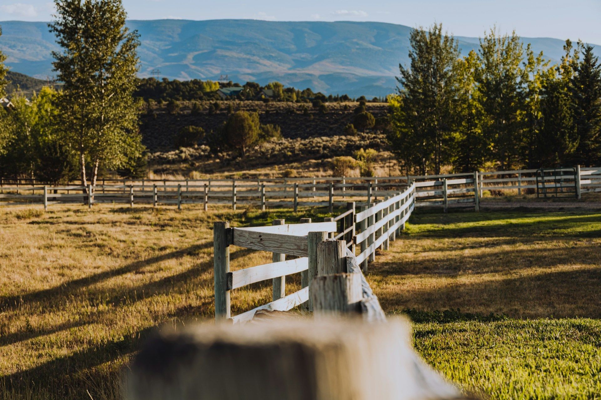 White fence leading through a sunlit pasture toward trees and blue mountains under a clear sky