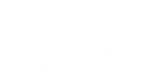 A white background with a few lines on it
