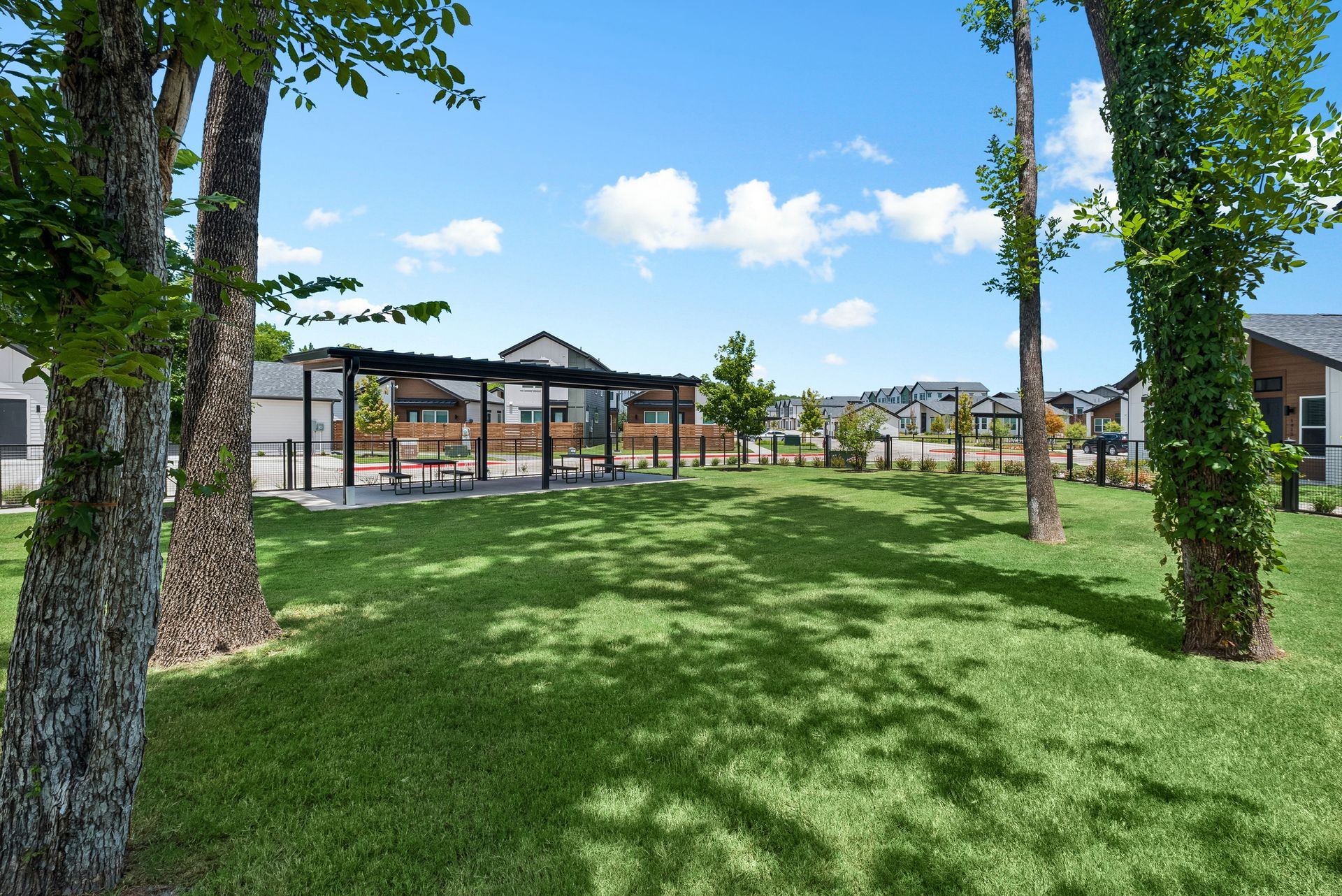 Grassy courtyard with trees and modern apartment buildings under a bright blue sky.