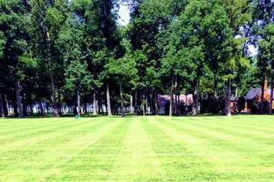 Grass Landscape