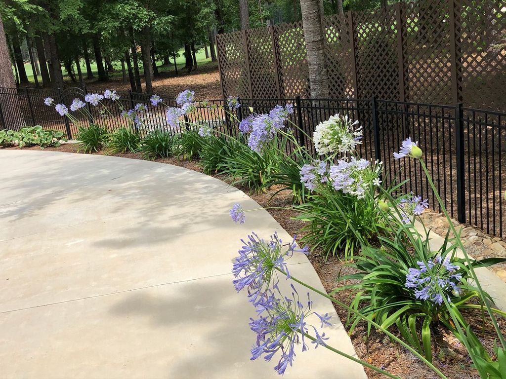 Curved walkway bordered by purple flowers and a black fence in a garden park