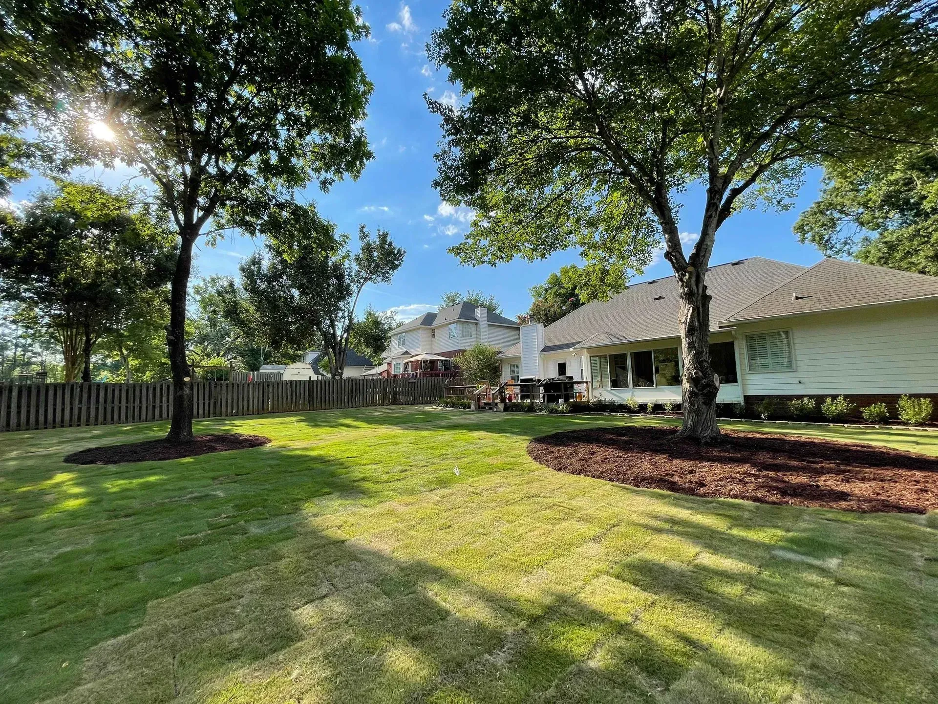 Sunny backyard with green lawn, tall trees, and a white house in the background.