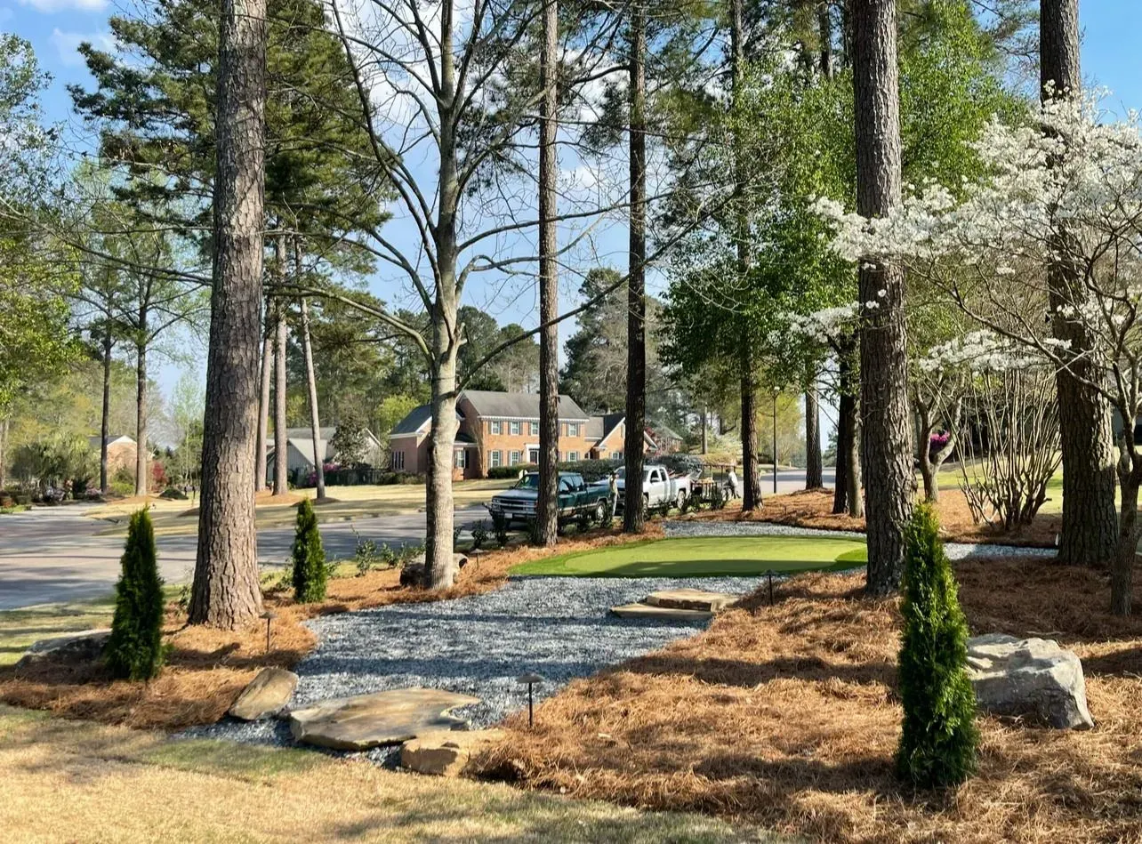 Tree-lined suburban yard with pine trees, gravel path, and a house in the background.
