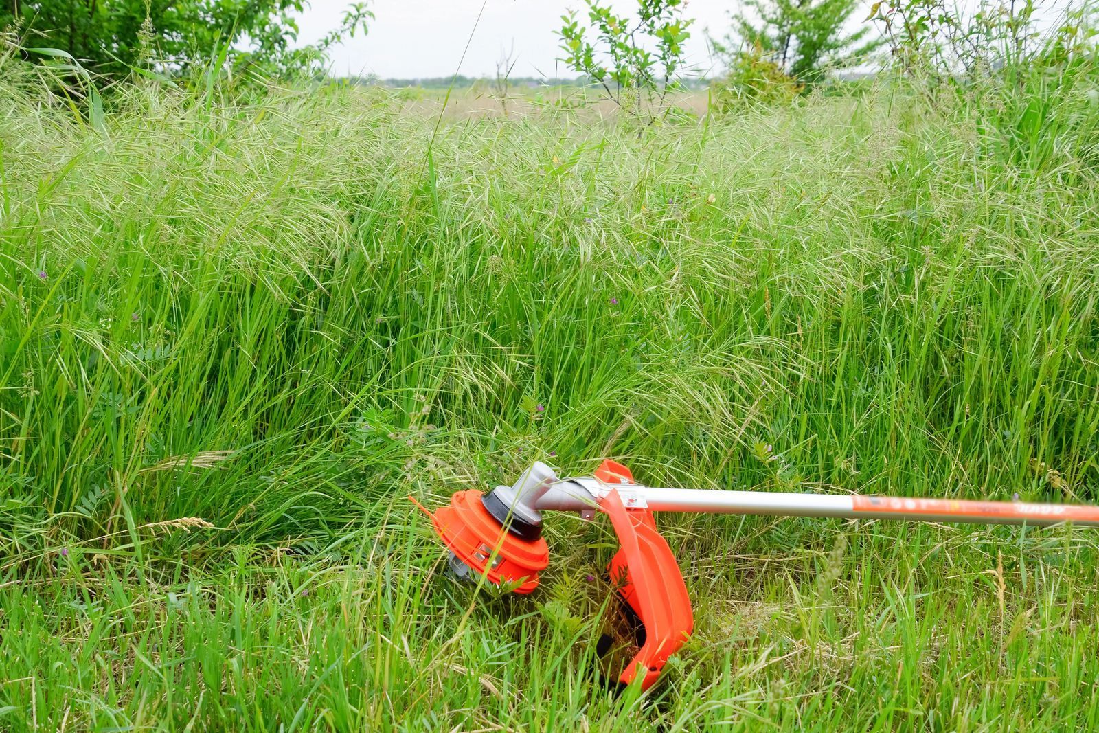 Red string trimmer in tall green grass near a grassy field edge
