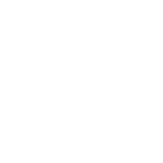 Blank white square image.