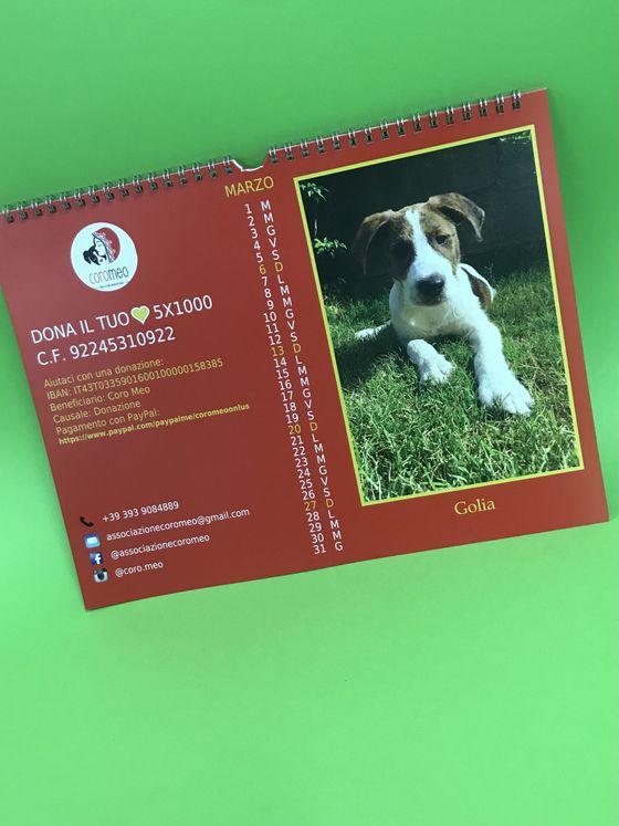 calendario muro
