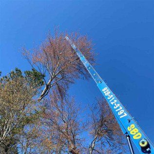 tree service