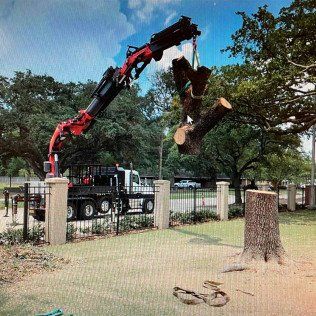 tree service