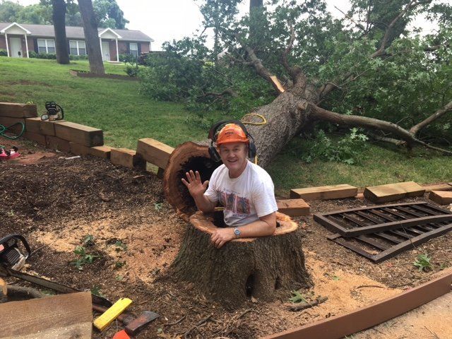 tree service