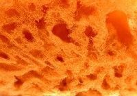 A close up of a piece of orange bread with holes in it.