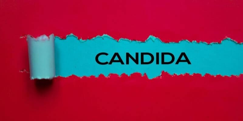 A piece of torn paper with the word candida written on it.