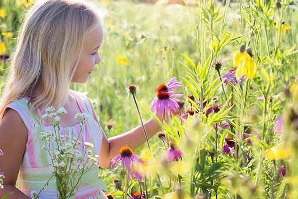 A little girl is standing in a field of flowers.