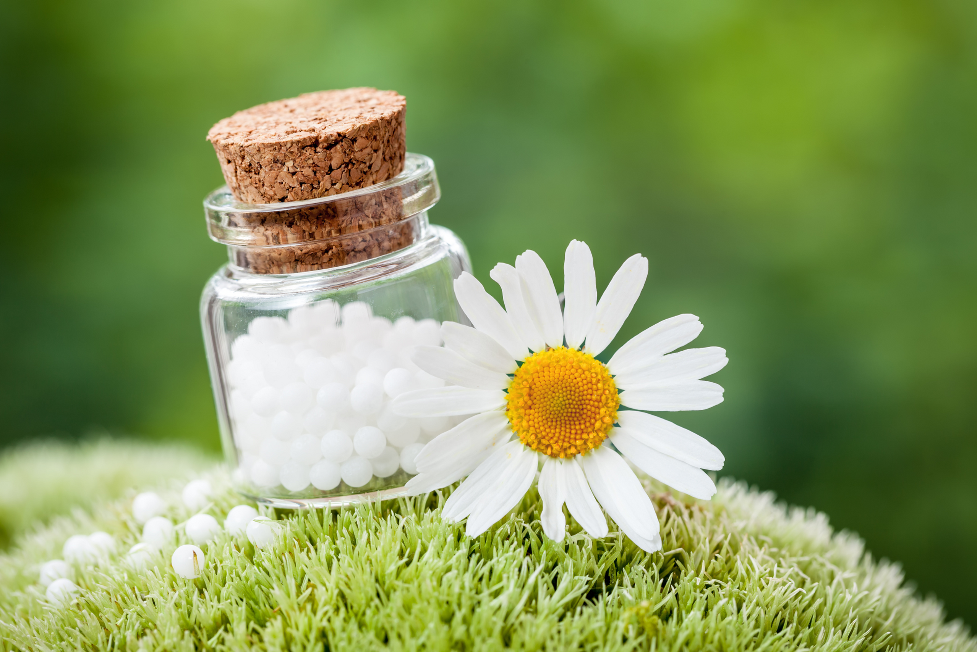 A bottle of homeopathy pills next to a daisy on a grassy hill.