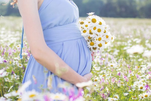 A pregnant woman in a blue dress is holding a bouquet of daisies in a field.