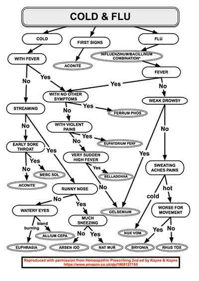 A flow chart showing the difference between cold and flu