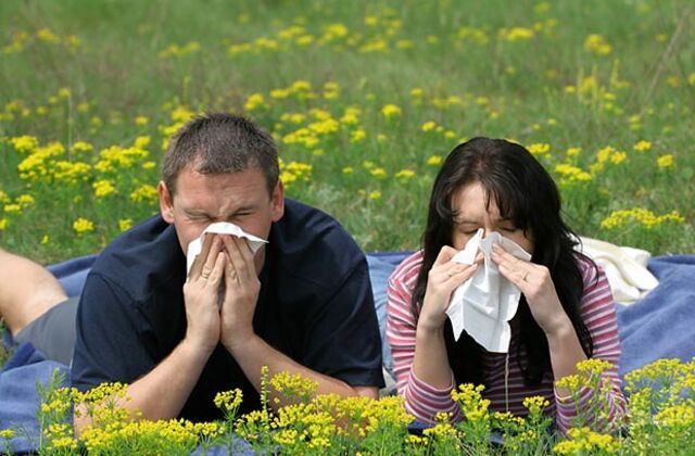 A man and a woman are blowing their noses in a field of flowers.