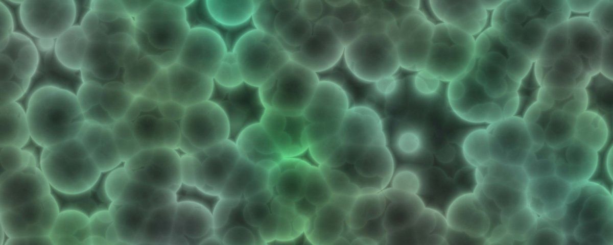 A bunch of green circles are floating in the air.