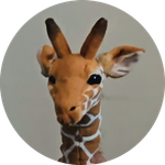 Giraffe peering at the camera, a playful nod to MaxFoo being one of the only bespoke 2D animation studios