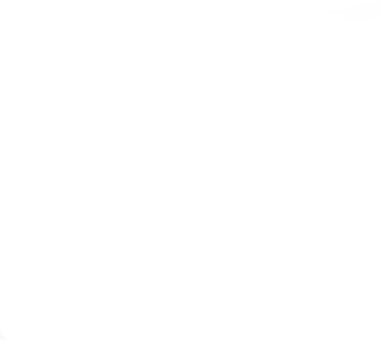 A blank, solid white background.