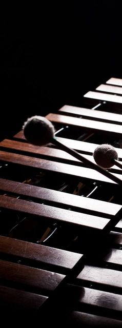 xylophone