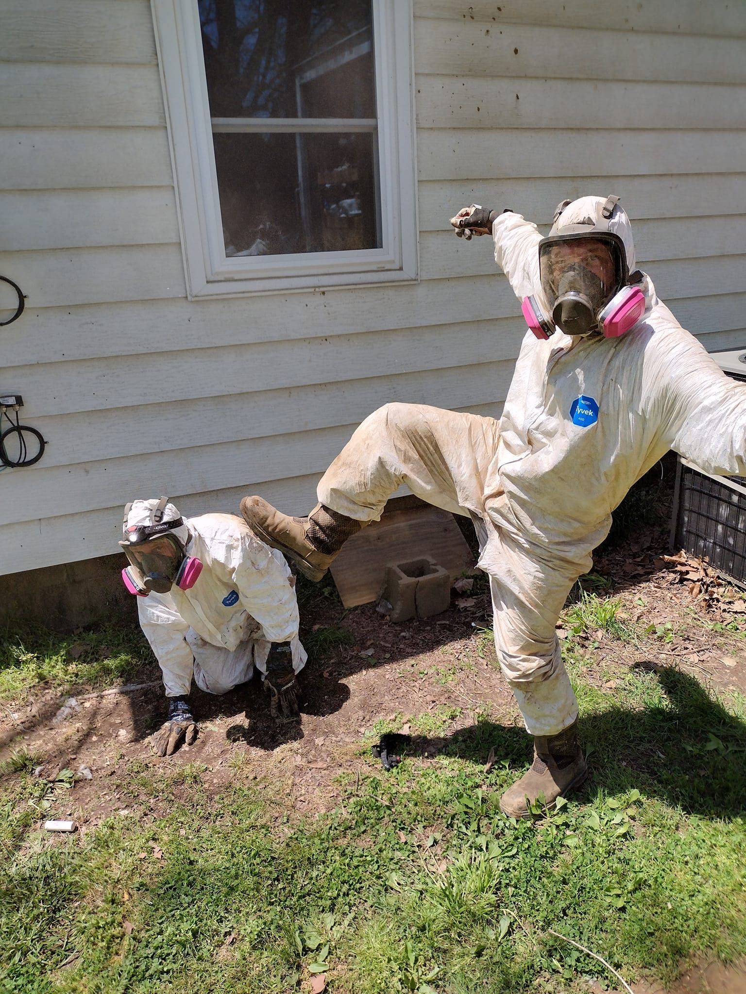 Two goats in white outfits with pink collars posing beside a house in a sunny yard