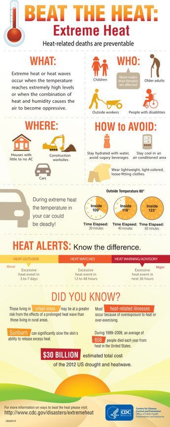 Heat safety infographic titled “Beat the Heat: Extreme Heat” with orange sun, tips, alerts, and prevention icons.